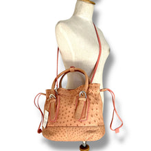 Load image into Gallery viewer, Vintage Blush Ostrich Drawstring Tote
