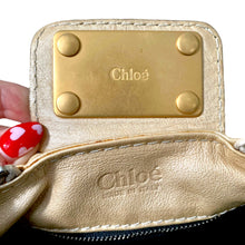 Load image into Gallery viewer, Gorgeous Vintage Chloe Handbag
