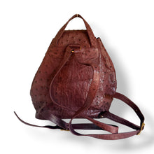 Load image into Gallery viewer, Vintage Chocolate Brown Ostrich Backpack
